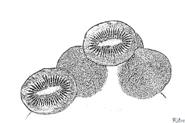 kivi Bosib Chiqarish Uchun Bo'yash Sahifalari